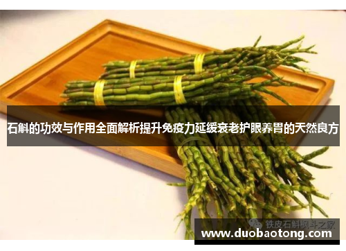 石斛的功效与作用全面解析提升免疫力延缓衰老护眼养胃的天然良方