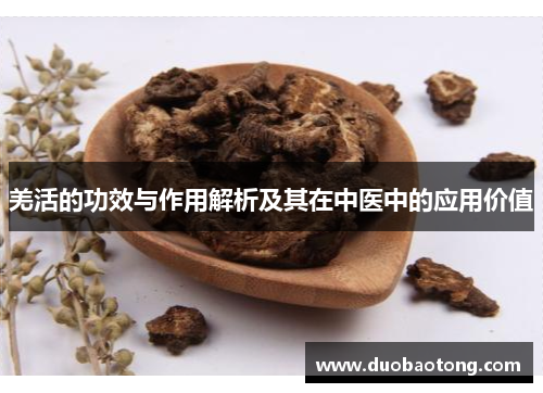 羌活的功效与作用解析及其在中医中的应用价值